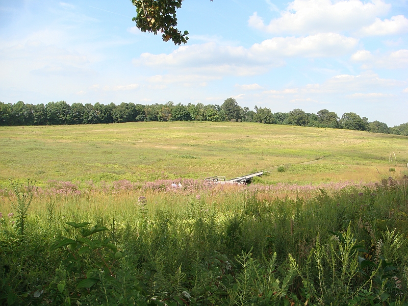 084 Longwood Gardens [2008 August 23].JPG - Longwood Gardens in Pennsylvania